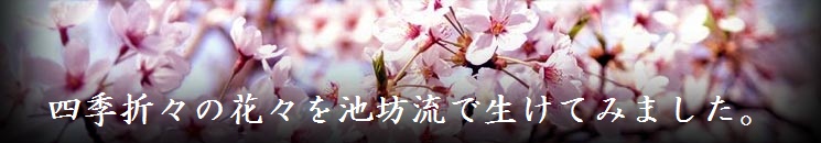 生け花